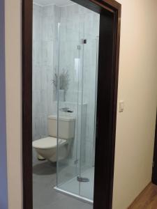 een glazen douche in een badkamer met een toilet bij Hotel Vincentinum Novigrad na Dobri in Duga Resa