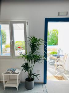 Um jardim em Portobello Boutique Hotel