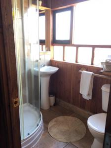 a bathroom with a shower and a sink and a toilet at B&B HMüller in Pucón