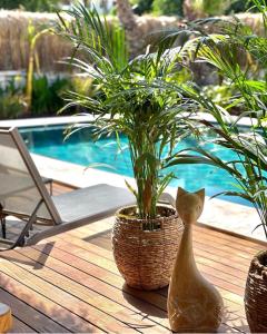 The swimming pool at or close to Voger Alaçatı Silence