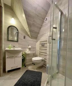 a bathroom with a shower and a toilet and a sink at Pokoje Gościnne Nowa Grań in Zakopane