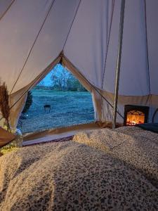 a tent with a bed with a view of a field at Glempinga telts SMILGA in Liepāja