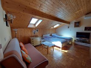 TV a/nebo společenská místnost v ubytování Apartments Faran