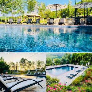 a collage of photos of a pool with chairs and an umbrella at Agriturismo Borgo Il Bonagino in Radda in Chianti