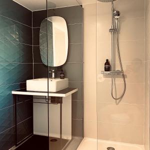 ein Bad mit einem Waschbecken und einem Spiegel in der Unterkunft Car et Art in Saint-Gervais en-Belin