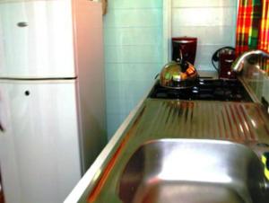 a kitchen with a sink and a refrigerator at Chez Ophelia Cottage Apartments in Roseau