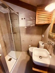 ein Bad mit einer Dusche, einem WC und einem Waschbecken in der Unterkunft Qué bueno que viniste. Edificio singular in Plasencia
