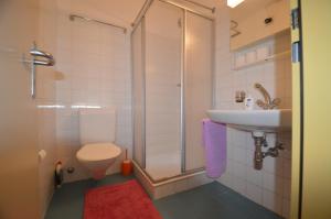a bathroom with a shower and a toilet and a sink at The View Cademario Lake Lugano Apartment with Private Parking in Cademario