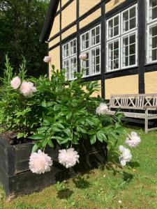 Aed väljaspool majutusasutust Hotel Egeskoven
