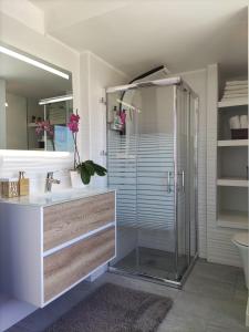 La salle de bains est pourvue d'une douche en verre et d'un lavabo. dans l'établissement Ático Orquídea, à El Médano