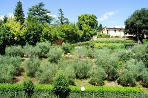 Foto de la galería de Greenhouse en Florencia