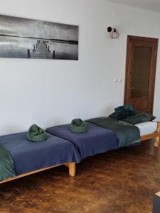 Posteľ alebo postele v izbe v ubytovaní Siedlisko Jelonki