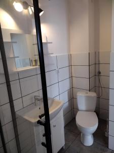 Kúpeľňa v ubytovaní Siedlisko Jelonki