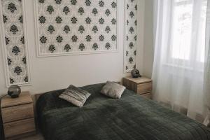 a bedroom with a bed with two pillows on it at Apartments Moravská 24 in Karlovy Vary