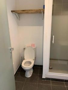 ein kleines Bad mit einem WC und einer Dusche in der Unterkunft Studio centre historique de La Rochelle in La Rochelle