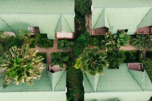 Giardino di Hotel Balandra