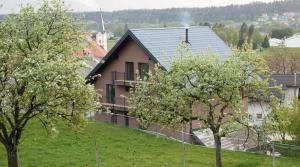 Příroda nedaleko bed and breakfast