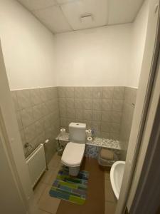 ein kleines Bad mit WC und Waschbecken in der Unterkunft VILAR HOSTEL in Aizkraukle