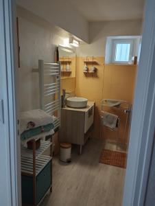 Ванна кімната в Maison du martin pêcheur à Lannion