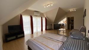TV a/nebo společenská místnost v ubytování Korall Apartman
