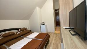 TV a/nebo společenská místnost v ubytování Korall Apartman