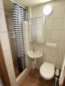 a bathroom with a toilet and a sink and a mirror at Ubytování GM in Znojmo