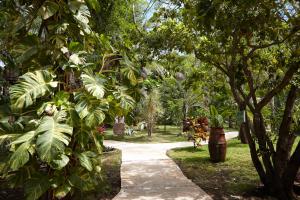 a walking path through a park with trees at Coco Hacienda Tulum - Adults Only in Tulum
