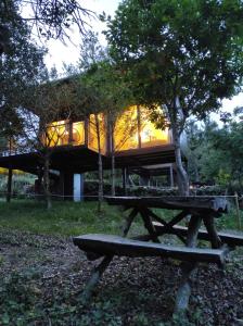 une cabane dans les arbres avec une table de pique-nique devant elle dans l'établissement Cabañas Mirador de Ézaro, à Arcos