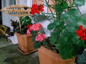 Fotografie z fotogalerie ubytování Lakeside Green Balcony Home v destinaci Cchaltubo