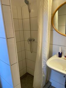 łazienka z prysznicem i umywalką w obiekcie Nationalpark Lobau Wohnung w mieście Groß-Enzersdorf +10 zdjęć