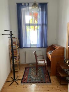una stanza con una sedia, una finestra e un tappeto di Nationalpark Lobau Wohnung a Groß-Enzersdorf