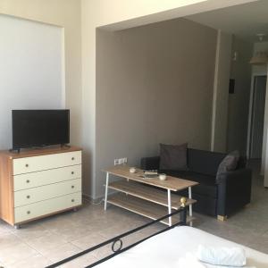 Televízia a/alebo spoločenská miestnosť v ubytovaní L's apartments