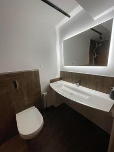 a bathroom with a toilet and a sink and a mirror at Old Town Loft DELUXE in Klaipėda +10 photos