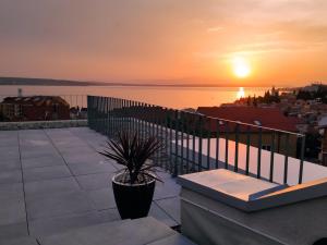 a potted plant sitting on a balcony with the sunset at Drance 16 Apartments in Selce