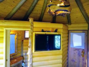 a tv on the wall of a log cabin at Pousada Mirante do Céu in Visconde De Maua