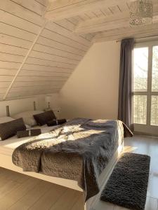 a bedroom with a large bed and a large window at Szőlőskert vendégház in Balatonszőlős