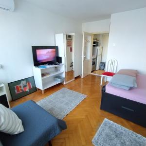 ein Wohnzimmer mit einem Sofa und einem TV in der Unterkunft Konaque Dr in Niš