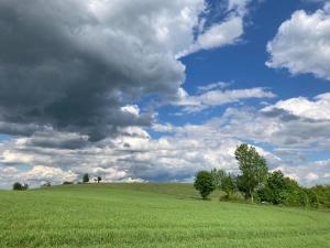 ein grünes Feld mit wolkigem Himmel und Bäumen in der Unterkunft Erzgebirgshaus in Kurort Altenberg