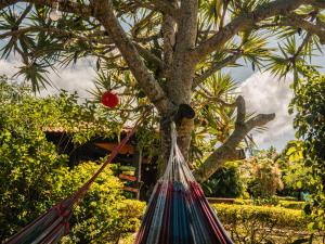 a hammock tied to a tree with a red ball on it at Numa Boa HOSTEL Búzios in Búzios