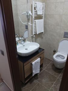 a bathroom with a sink and a toilet at Alya Teras Otel in Trabzon