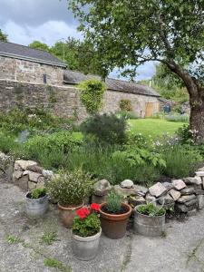 een tuin met bloempotten en een stenen muur bij Six on Castle in Tiverton