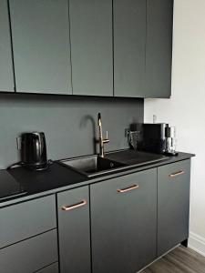 Fotografie z fotogalerie ubytování Apartament Węgorzewo v destinaci Úhořevo