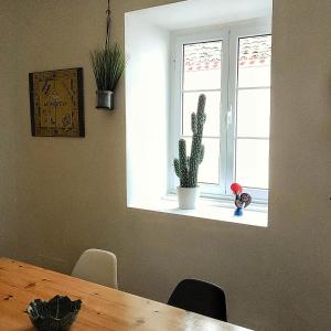 a dining room table with a cactus and a window at Solo Azores Guesthouse in Nordeste +34 photos