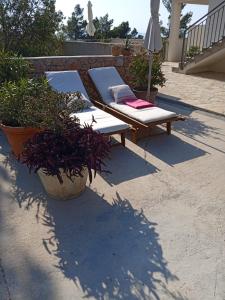 Ogród w obiekcie Apartmani Nila