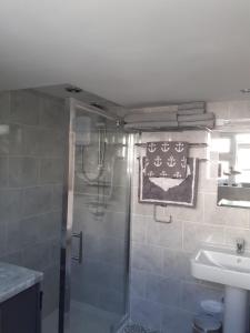 a bathroom with a shower and a sink at The Coach House Annexe in Barnstaple