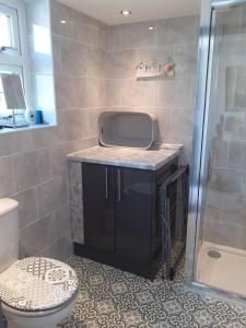 a bathroom with a shower and a toilet and a sink at The Coach House Annexe in Barnstaple