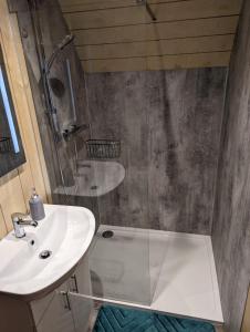 a bathroom with a shower and a sink at Ashberry Glamping in York