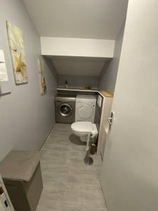 uma pequena casa de banho com WC e máquina de lavar roupa em L' Oteni em Publier