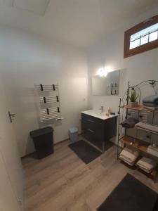 a bathroom with a sink and a mirror and a counter at le refuge de la blanche in Seyne