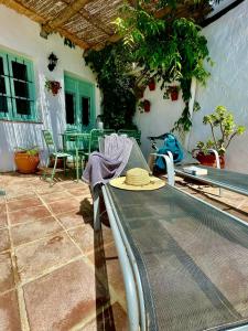 A patio or other outdoor area at Casa Salamanquesa